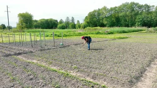 Aerial Flying Over a Small Farm Field A Woman Farmer Works in the Garden