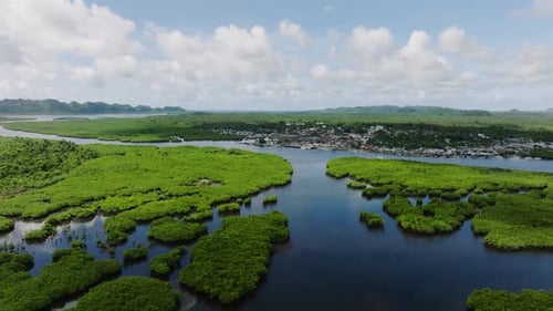 Mangrove Forest with Town in Background Siargao Philippines