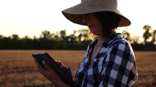 Female Agronomist in Straw Hat Monitoring Harvest on Barley Field at Sunset Adult Farmer Using