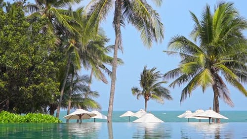 Empty tropical resort lounge with swimming pool, Sun Umbrellas or Parasols and Coconut Palms at seaf