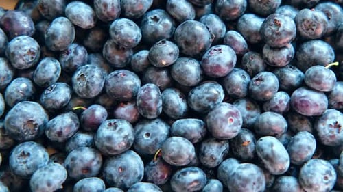 Fresh Blueberries Background Piled Blueberry Spinning Backdrop Sweetest Delight Vibrant Closeup of