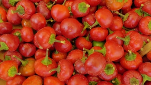 Fresh tomatoes at the vegetable market