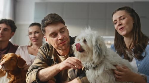 People Dogs Resting Home Together Close Up Happy Group Friends Caressing Pets