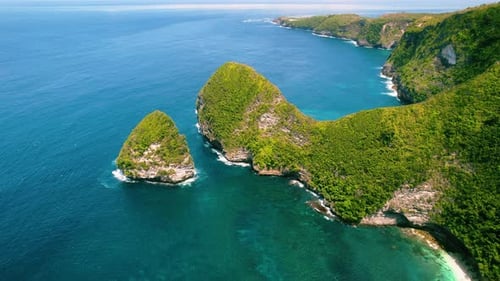 Grüne tropische Regenwaldklippe Kelingking Beach mit klarem Meerwasser. Exotische Insel an der Küste