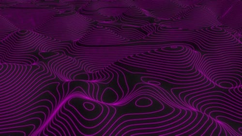 Pink Curve Lines Level Map Technology Topography