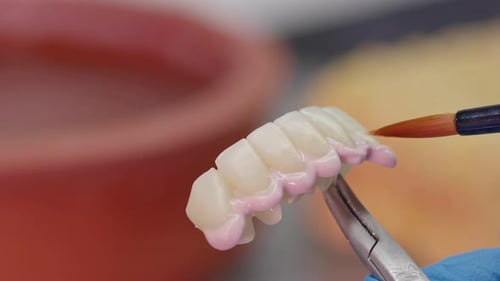 Dental Technician Applies Material to False Teeth