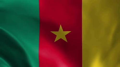 Cameroon National Flag Waving with Realistic Fabric Motion