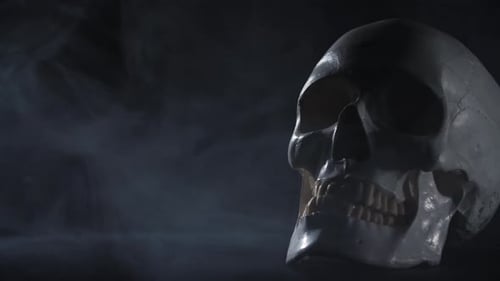 Slider shot of a human skull on a black smokey background.