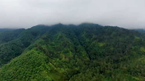 Lush vegetation on Merapi mount shrouded in clouds, Yogyakarta in Indonesia. Aerial descending