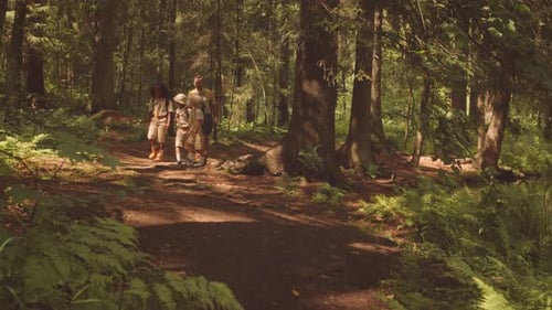Scouter with Kids Hiking in Forest
