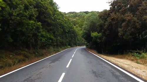 Driving along the road along the forest. POV shot from a camera driving through beautiful empty road