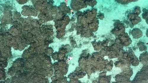 Aerial view of clear waters and coral reefs with snorkelers, Maldives.