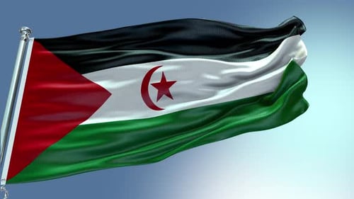 Seamless Loop of Sahrawi Arab Democratic Republic Flag Waving