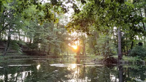 Sunset In Park With Lake And Reflection