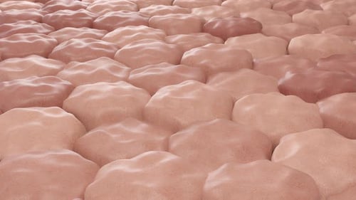 Microscopic View of Damaged Skin Cell Texture