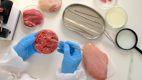 Lab Technician Inspects Raw Meat in Laboratory