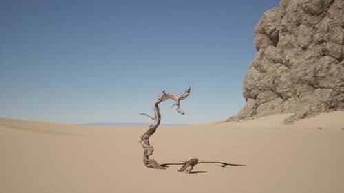 A Dead Tree in the Middle of a Desert