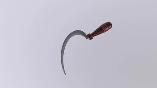 Curved Blade with Wooden Handle