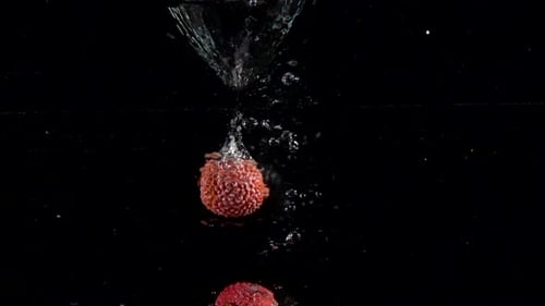 Lychee Fruits Dropping and Splashing in Water