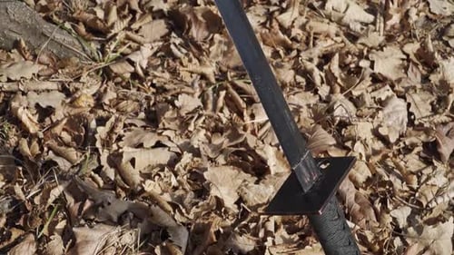 Katana Carving: Blade Slicing Through Weathered Tree Branch