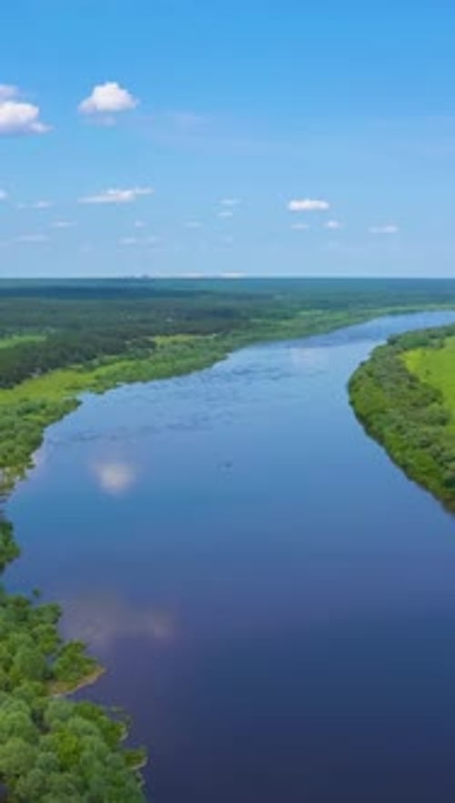 Oka River Meadow and Forest on Sunny Summer Day Russia Aerial View Vertical Video