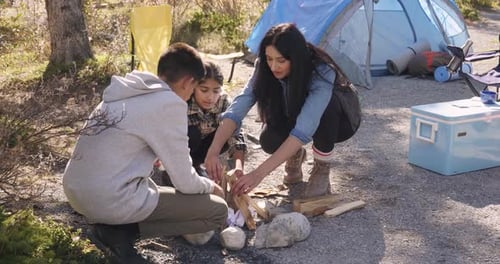 Family teamwork stacking firewood for campfire in sunny forest on summer vacation