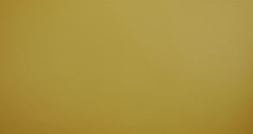 Passport and Tickets for Travel Close Up