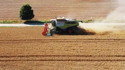 Drone Shot Flying Over Combine Harvesters Working on Wheat Field. Food Industry Concept.