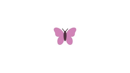 Flat Design Butterfly Icon Animation