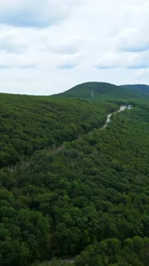Vertical Aerial Flyover of Forested Mountain Road at Mohawk Trail, Massachusetts, USA