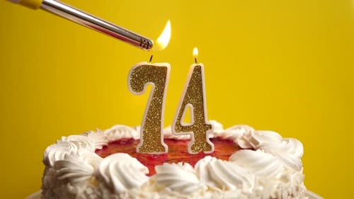 74. A candle in the form of the number 74, inserted into the holiday cake, is lit. Celebrating a bir