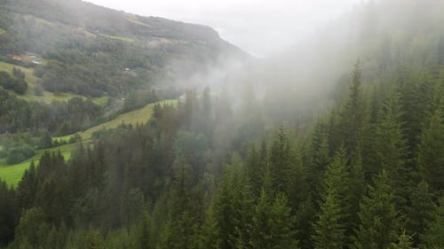 A stunning aerial view showcasing fog draped over forest trees on a scenic hillside, creating a sere