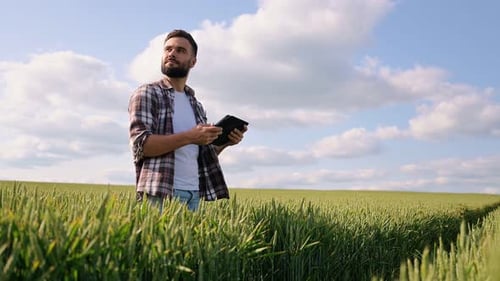Agronomist in plaid shirt inspects field. Dedicated farmer at work in wheat field.
