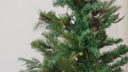 Lit Christmas tree with pine cones. Close-up details