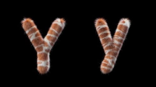 3D animation of a uppercase and lowercase Giraffe woolen letter Y