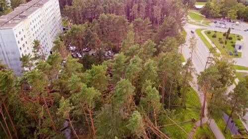 Fallen trees after powerful storm near apartment buildings in Jurmala, aerial view