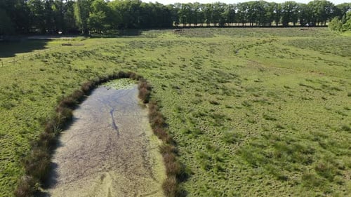 Drohnenaufnahme von kleinem Teich und Wald.