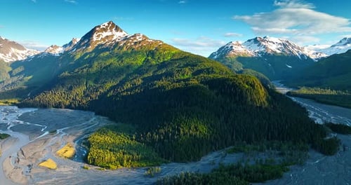 Pine tree wood covering the huge mountain. Branching rivers flow at the rock foot.
