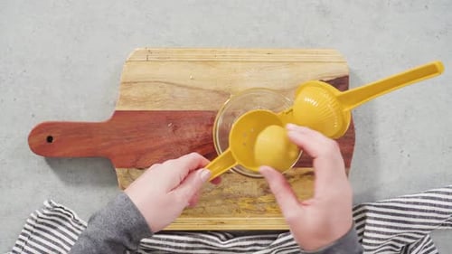 Den Saft mit einer Zitronenpresse aus den Bio-Zitronen auspressen