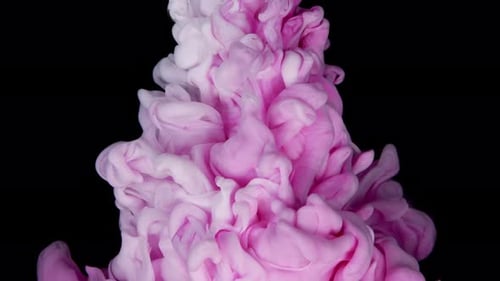 Pink and White Acrylic Ink Mixing in Water on a Black Background