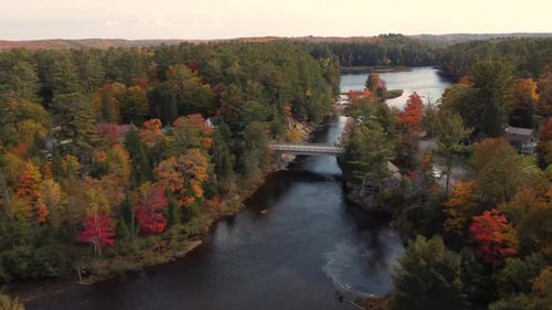 Aerial tracking view of forest river in autumn, car crosses bridge over river, beautiful forest land