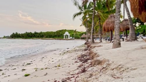 Sliding left shot of a beautiful beach in Tulum near Cancun Mexico with small waves, palm trees, blu