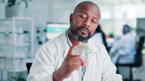Science, man and petri dish with plant in laboratory for sample inspection