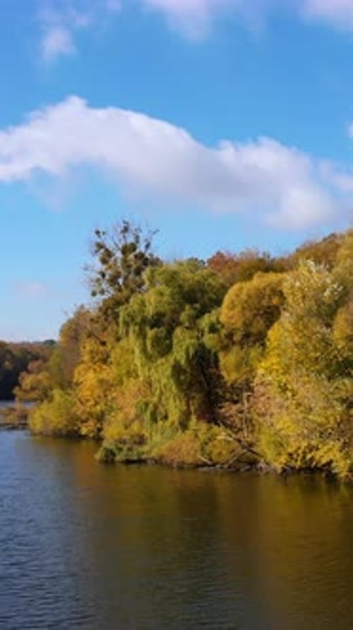 Beautiful autumn river scneries. Aerial view of seasonal outdoor landscapes. Vertical video