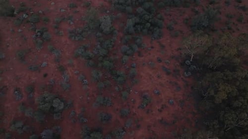 Tilting up drone clip showing remote Western Australian outback stretched out to horizon