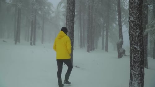 Rear view following a man walking alone through a snowy forest, while wearing a bright yellow coat.