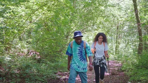 Young Couple Man and Woman with Sticks Trekking Hiking in Forest Trail