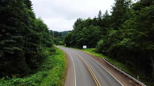 Aerial flight along highway road through beautiful lush green forest along coast
