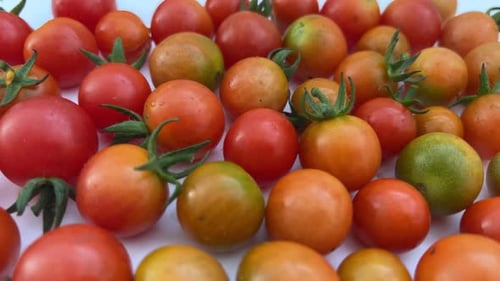 Rosafarbene Kirschtomaten, Slider Shot