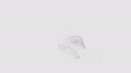 Abstract Particle Shape Reveal Animation